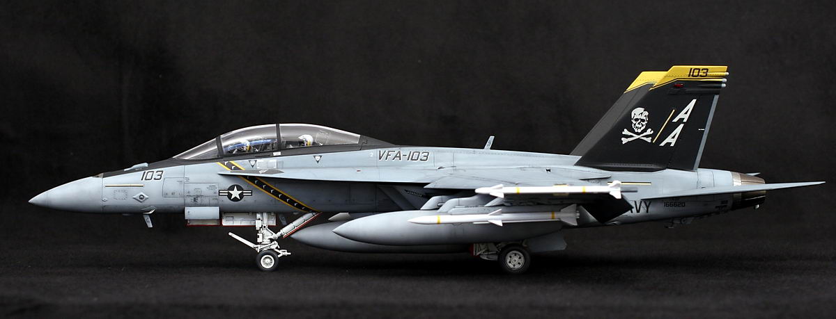 1/48 Hasegawa F-18F photo gallery