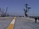 hornet_065.jpg